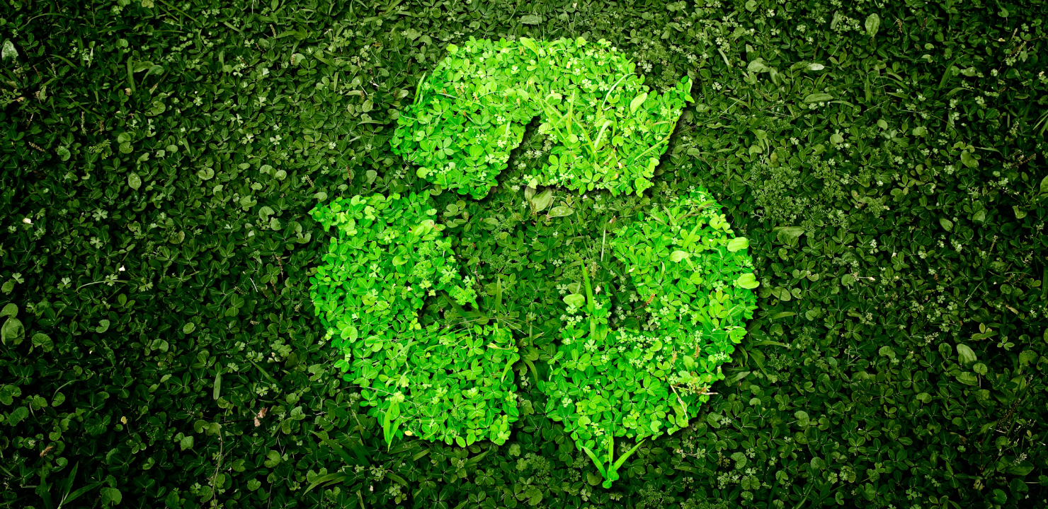 Sustainability